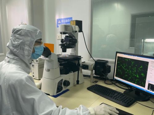 布局 西部氫谷 ,構建創(chuàng)新體系 九龍坡要打造制造業(yè)高質量發(fā)展示范區(qū)