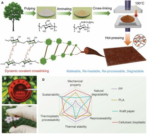 陳朝吉教授課題組在chemical reviews advanced materials等國際高水平期刊發(fā)表生物質(zhì)基低碳功能材料及綠色儲能材料系列研究成果