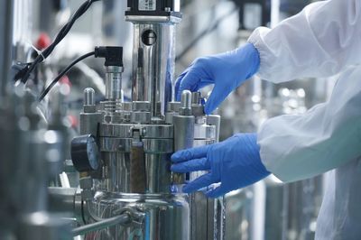 戰新產業&ldquo;百大工程&rdquo;|招商局集團領航生物基聚酰胺創新突破 打造生物經濟新引擎