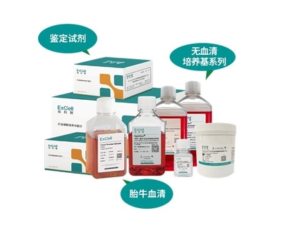 依科賽:聚焦胎牛血清、無血清培養(yǎng)基和鑒定試劑國產化和國際化