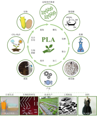 丁建勛 李鴻杰 楊佳臻(中國科學院長春應用化學研究所):新時代生物質降解材料聚乳酸,助力綠色環(huán)保的&ldquo;未來之鑰&rdquo;_作品展示