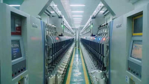 為治理白色污染提供蚌埠方案——記第二屆中國(guó)生物基材料產(chǎn)業(yè)發(fā)展大會(huì)暨生物基材料技術(shù)研發(fā)新動(dòng)向